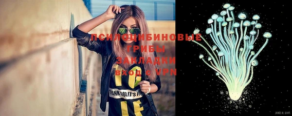 трава Горно-Алтайск