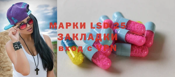 мяу мяу мука Горняк