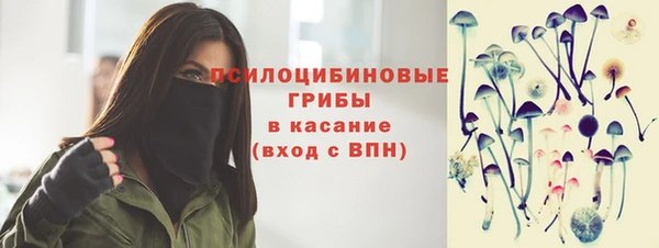 трава Горно-Алтайск