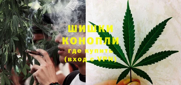 мяу мяу мука Горняк