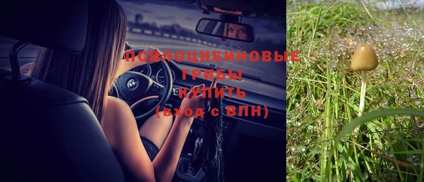 соль курить ск Вязьма