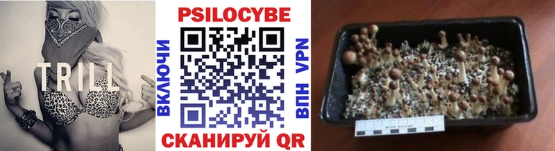наркошоп  Мытищи  Галлюциногенные грибы MAGIC MUSHROOMS 